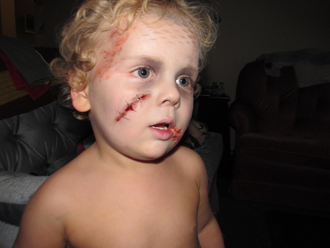 En samling av naturliga och ekologiska ansiktsfärger i olika kulörer.